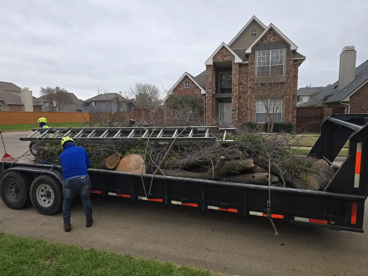 Expert Tree Removal with proper safety equipment in Elizaville